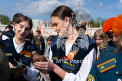 Всероссийская акция «Голубь мира – Голубь Победы!»